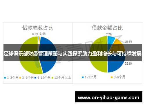 足球俱乐部财务管理策略与实践探索助力盈利增长与可持续发展